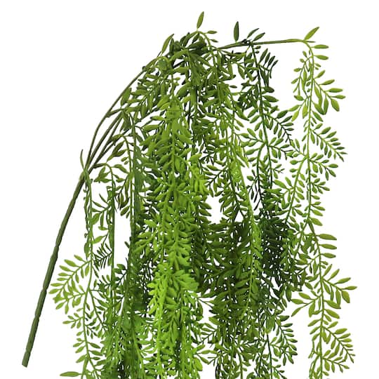 26" Hanging Ficus Bush by Ashland®